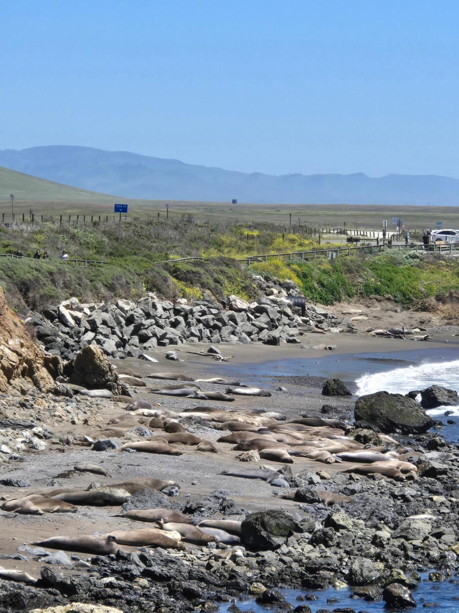 Coast Riders Inn San Simeon Exterior foto